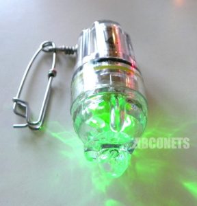 Lnduction Fishing Light