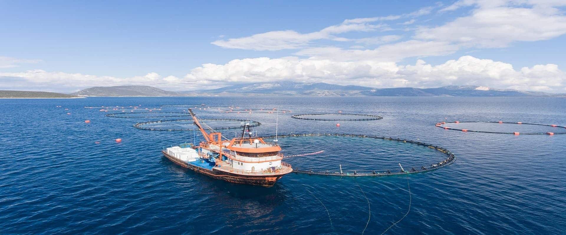 Ocean trawl,Fishing Nets