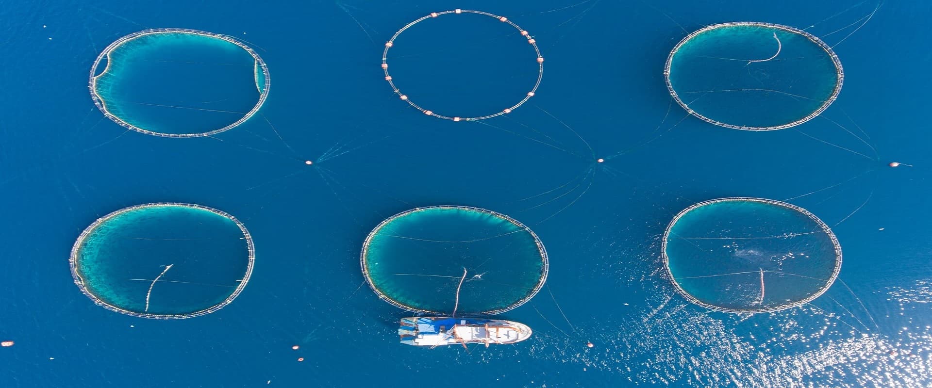 Ocean trawl,Fishing Nets
