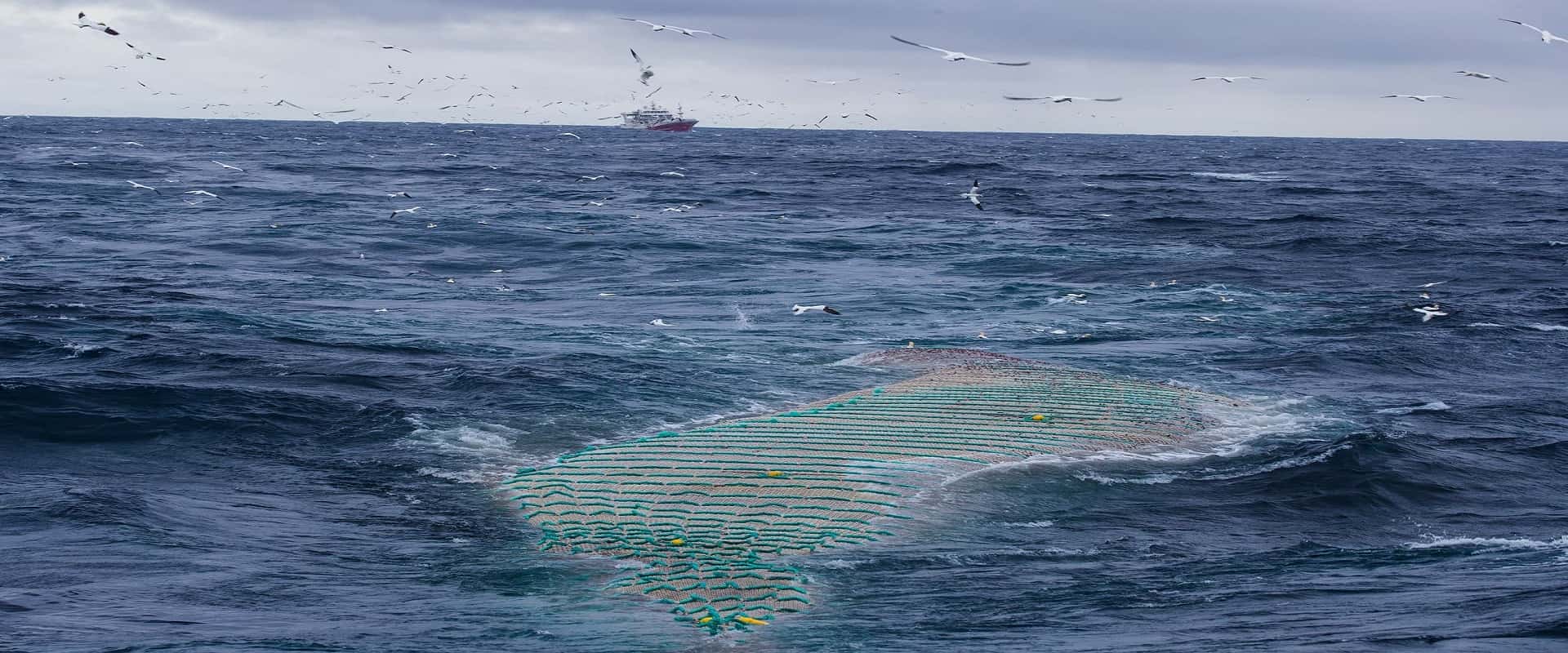 Ocean trawl,Fishing Nets