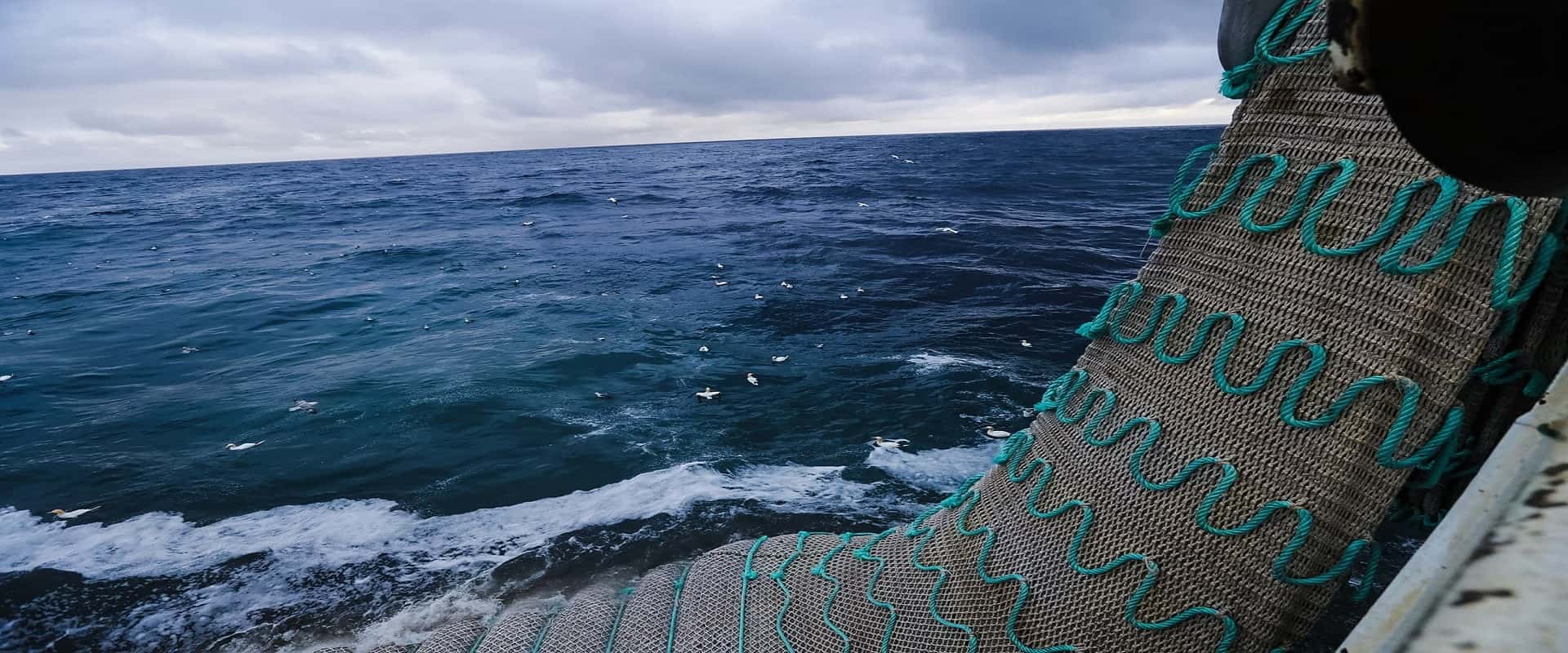 Ocean trawl,Fishing Nets